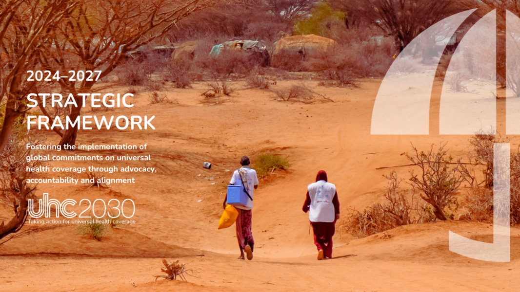 Strategic framework cover with title and two providers walking towards a rural village